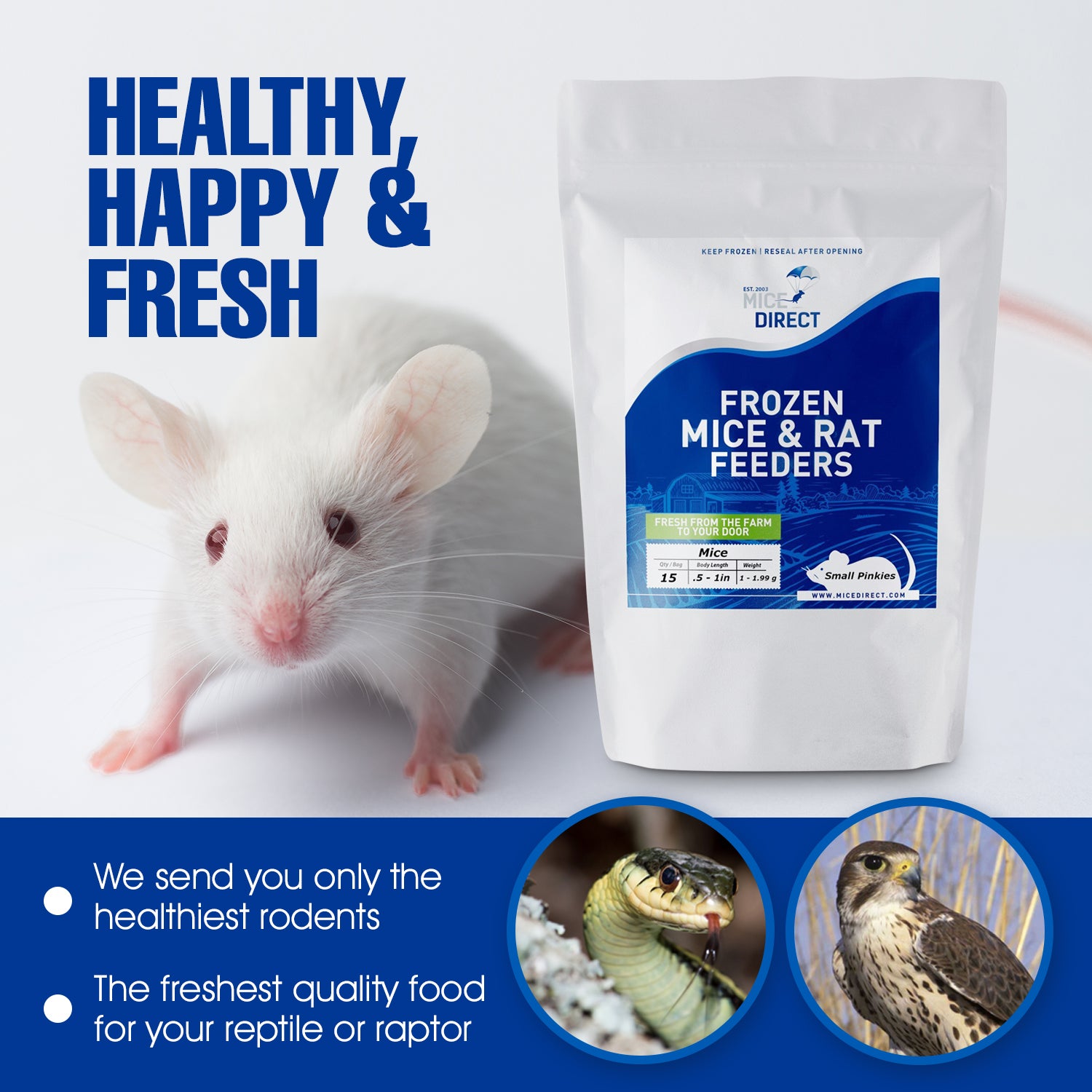 Premium Combo Pack of Frozen Mice - Perfect for Growing Pets - Reptile & Snake Food Feeders at MiceDirect