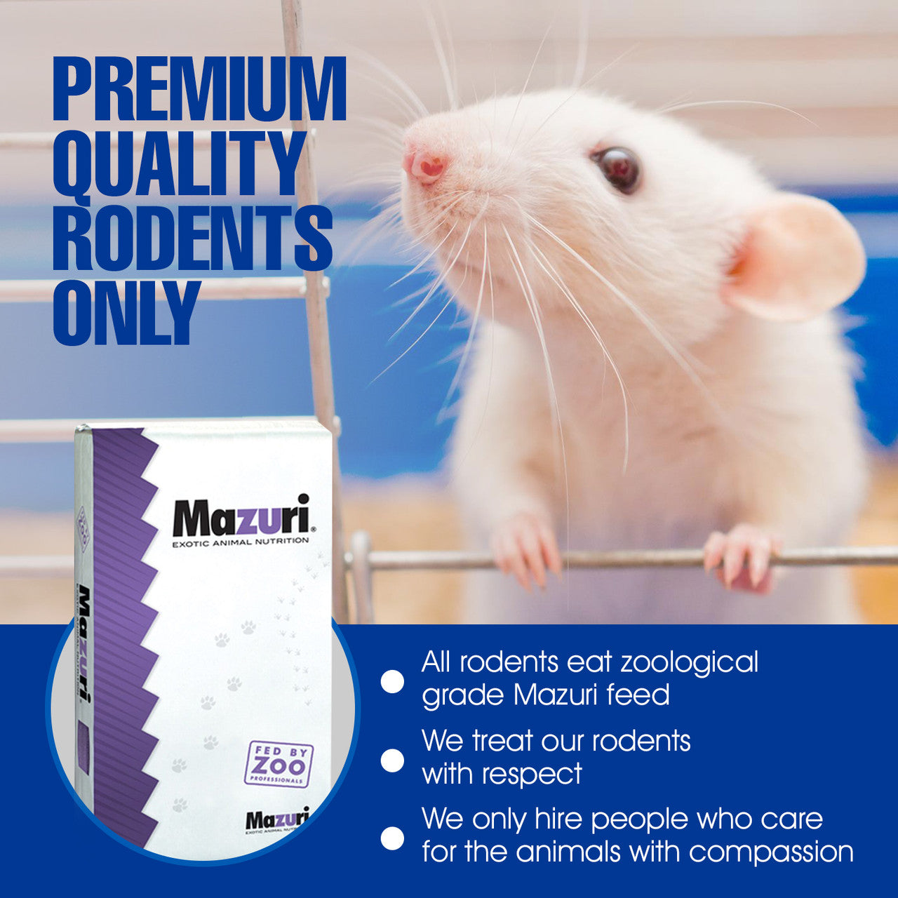 Premium Frozen Rat Pinkies: Fresh, Healthy, and Humane - MiceDirect