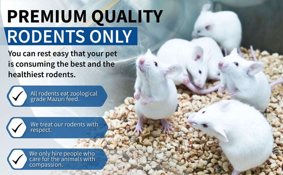 Combo Pack of Frozen Feeder Rat Mediums & Larges – MiceDirect