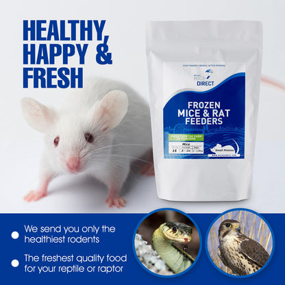 Combo Pack of Frozen Feeder Rat Pups & Weanlings