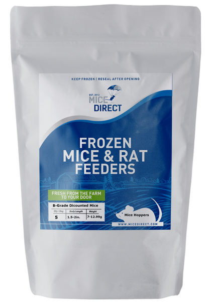 Premium Frozen Hopper Mice for Snakes & Reptiles - Fresh, Humane, Fast Delivery | MiceDirect