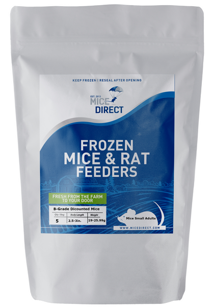 Small Adult Mice Frozen Snake Food